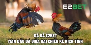 Đá Gá E2BET: Màn Đấu Đá Giữa Hai Chiến Kê Kịch Tính 2 da ga e2bet 4
