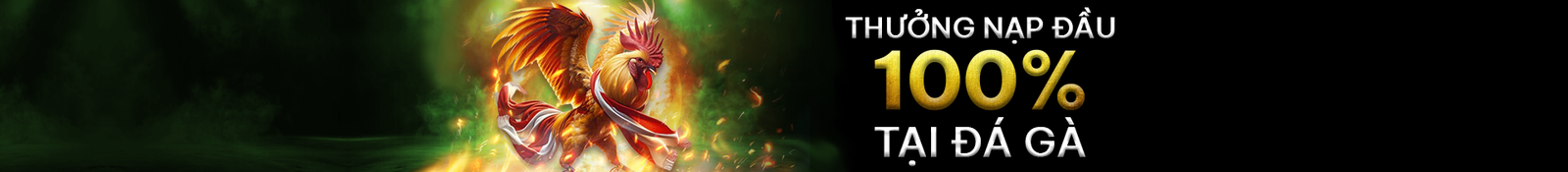 Trang chủ 30 image 216308